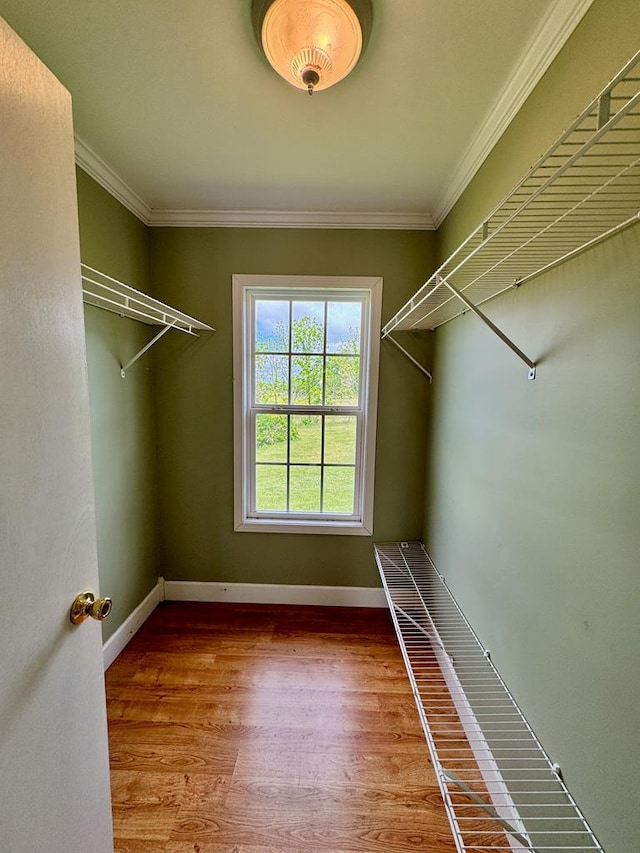 1039 Old Martha Washington Rd, Clarkrange, TN 38553 - spacious closet with wood finished floors