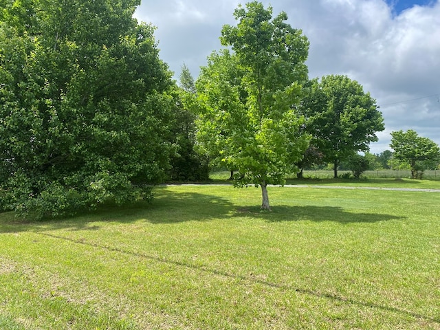 1039 Old Martha Washington Rd, Clarkrange, TN 38553 - view of green lawn