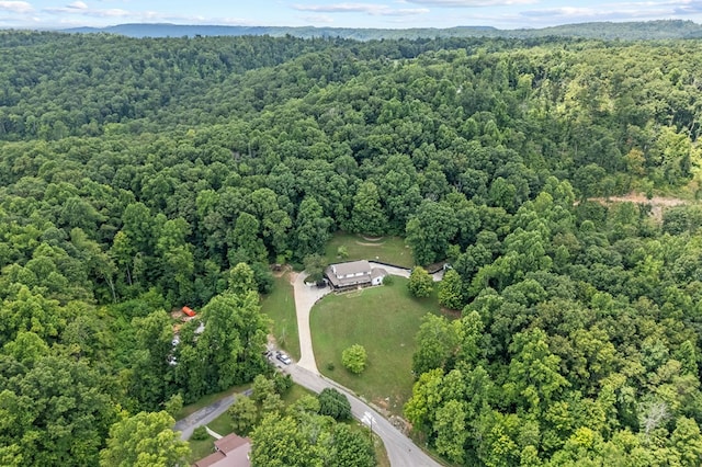 721 Valley Dr, Livingston, TN 38570 - photo 52
