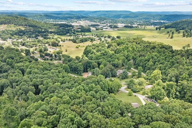 721 Valley Dr, Livingston, TN 38570 - photo 57