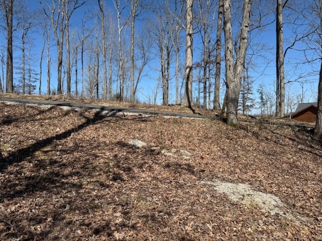 31C Rock Fish Rd, Hilham, TN 38568