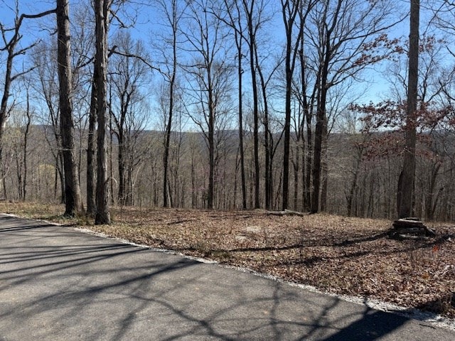 31C Rock Fish Rd, Hilham, TN 38568
