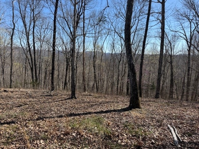 31C Rock Fish Rd, Hilham, TN 38568