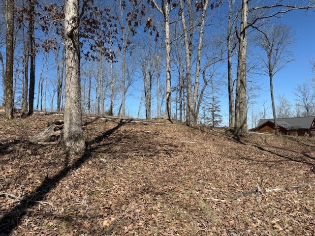 31C Rock Fish Rd, Hilham, TN 38568