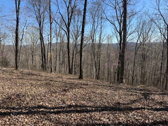 31C Rock Fish Rd, Hilham, TN 38568