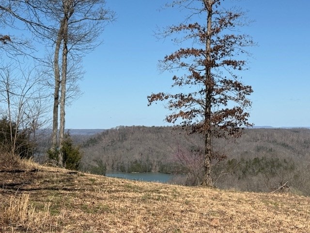 31C Rock Fish Rd, Hilham, TN 38568