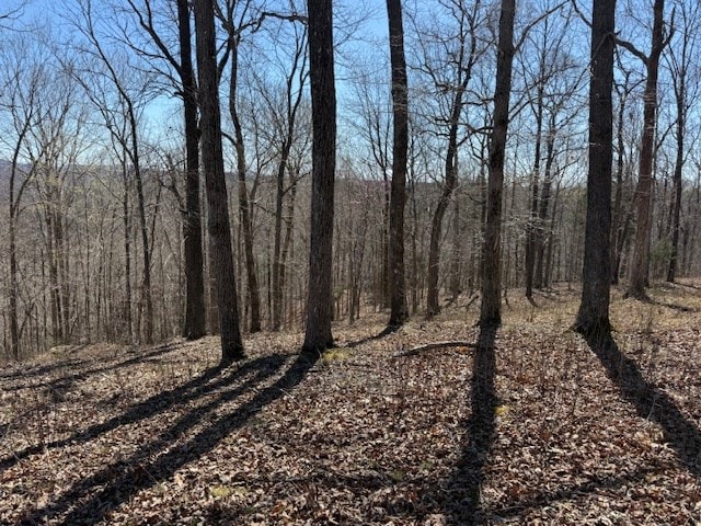 31C Rock Fish Rd, Hilham, TN 38568