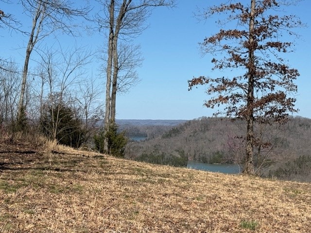 31C Rock Fish Rd, Hilham, TN 38568