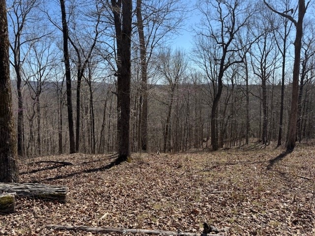 31C Rock Fish Rd, Hilham, TN 38568