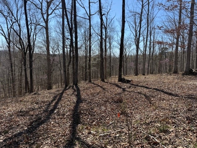 31C Rock Fish Rd, Hilham, TN 38568