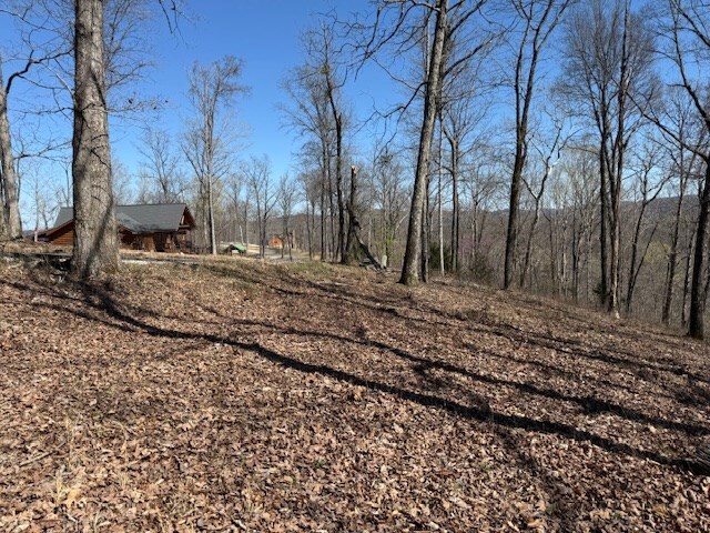 31C Rock Fish Rd, Hilham, TN 38568
