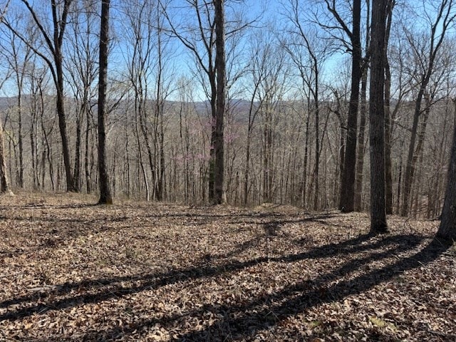 31C Rock Fish Rd, Hilham, TN 38568