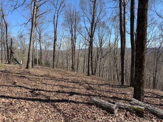 31C Rock Fish Rd, Hilham, TN 38568