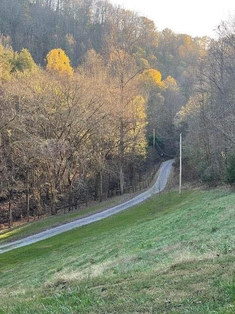 360 Spurlock Hollow Ln, Gainesboro, TN 38562 - photo 47