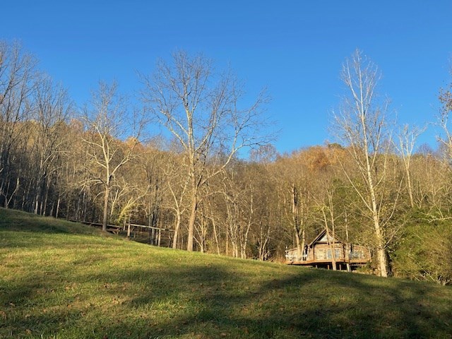 360 Spurlock Hollow Ln, Gainesboro, TN 38562 - photo 45