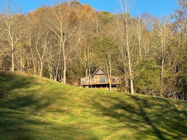 360 Spurlock Hollow Ln, Gainesboro, TN 38562 - photo 5