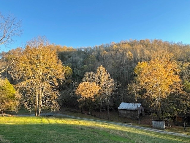 360 Spurlock Hollow Ln, Gainesboro, TN 38562 - photo 8
