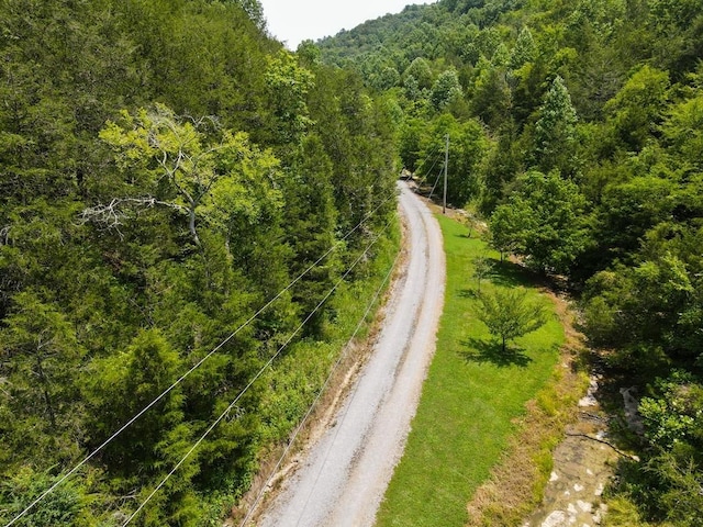 360 Spurlock Hollow Ln, Gainesboro, TN 38562 - photo 12
