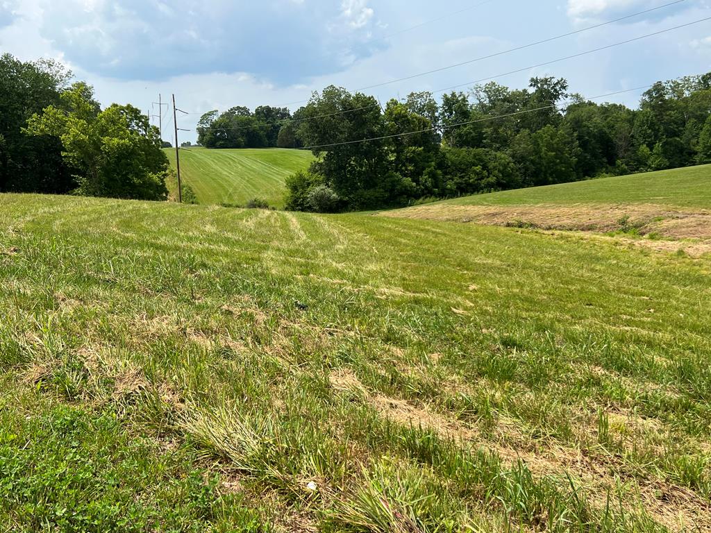 3180 Westowne Cir, Cookeville, TN 38501 - photo 1