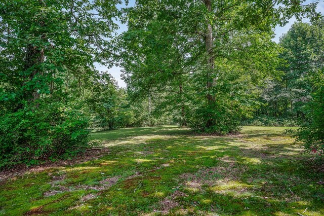 852 Eastland Rd, Sparta, TN 38583 - photo 41