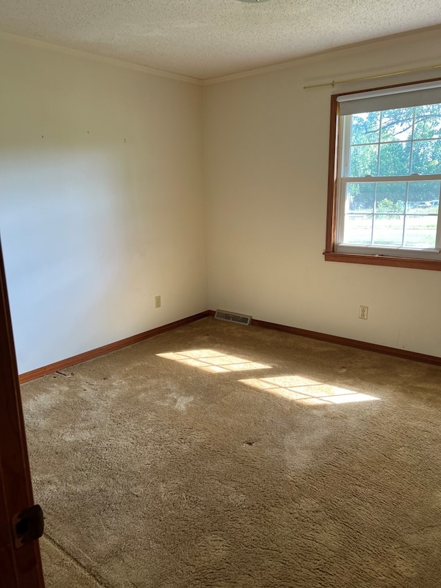 295 NW Amon Rd, Sparta, TN 38583 - photo 10