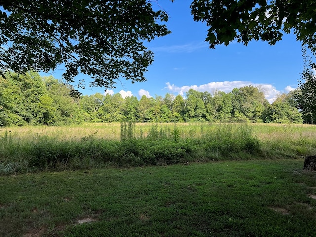 295 NW Amon Rd, Sparta, TN 38583 - photo 3