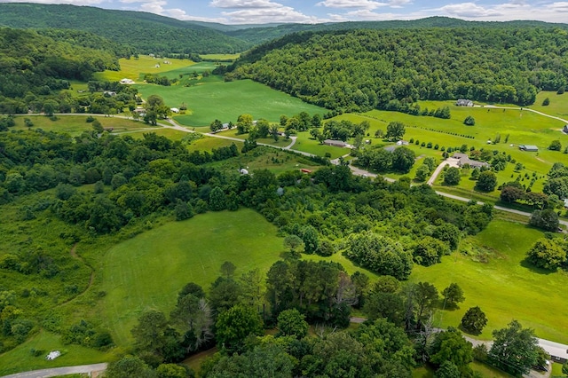 00 Clay Holman Rd, Sparta, TN 38583 - photo 6