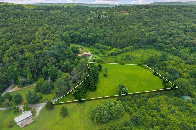 00 Clay Holman Rd, Sparta, TN 38583 - photo 4