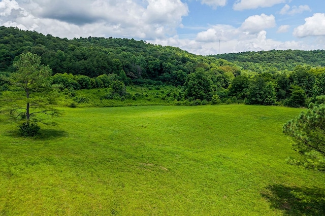 00 Clay Holman Rd, Sparta, TN 38583 - photo 11