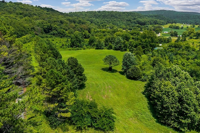 00 Clay Holman Rd, Sparta, TN 38583 - photo 14