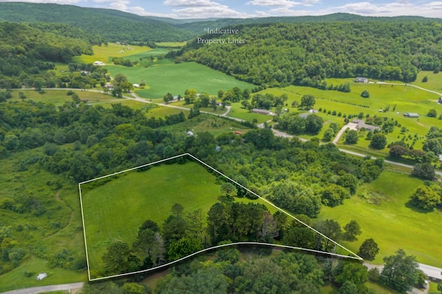 00 Clay Holman Rd, Sparta, TN 38583 - photo 7