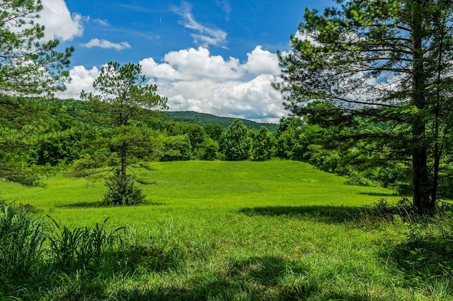 00 Clay Holman Rd, Sparta, TN 38583 - photo 16