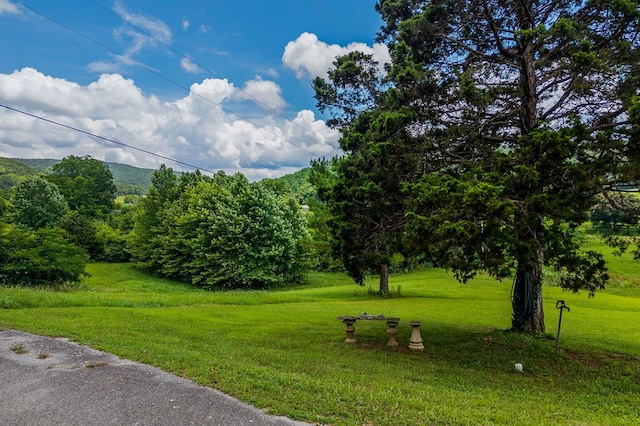 00 Clay Holman Rd, Sparta, TN 38583 - photo 2