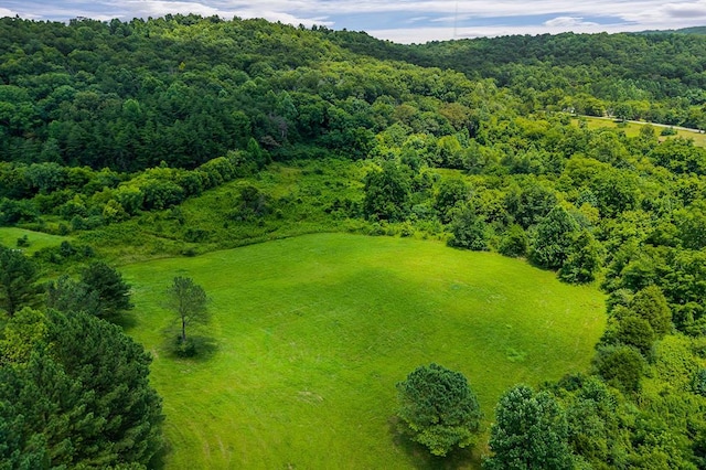 00 Clay Holman Rd, Sparta, TN 38583 - photo 1