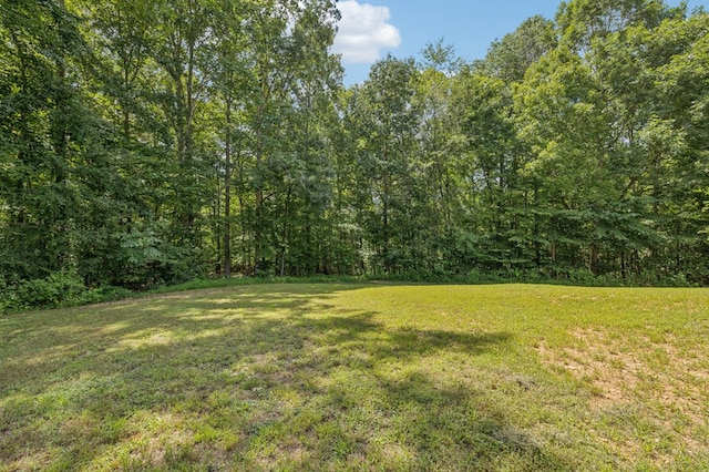 977 Elzie Williams Rd, Red Boiling Springs, TN 37150 - photo 49