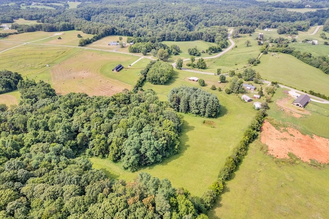 1526 Goodbar Rd, Rock Island, TN 38581 - photo 43