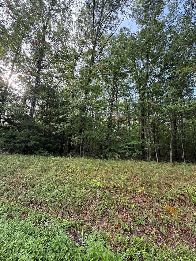 1.63AC Georgee Rd, Jamestown, TN 38556 - photo 3