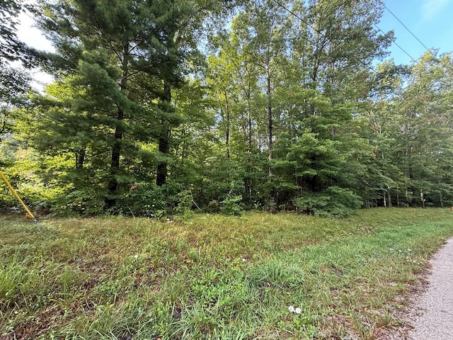 1.63AC Georgee Rd, Jamestown, TN 38556 - photo 1