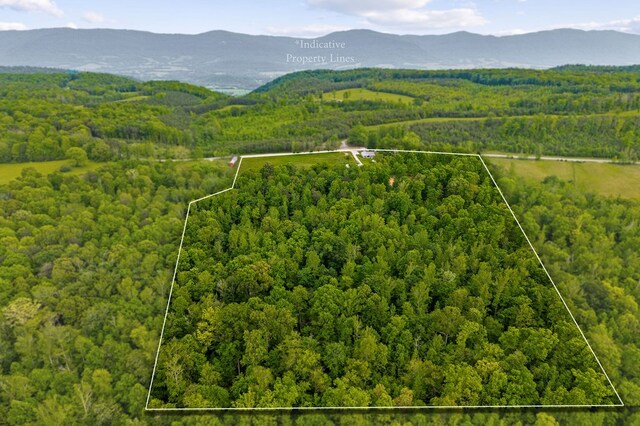 2348 Blaylock Rd, Crossville, TN 38572 - photo 5