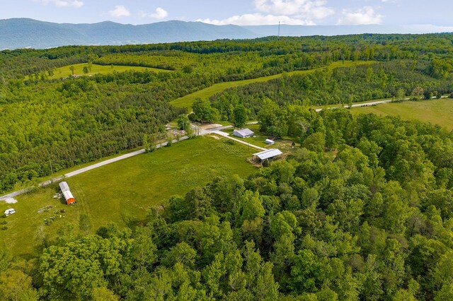 2348 Blaylock Rd, Crossville, TN 38572 - photo 8