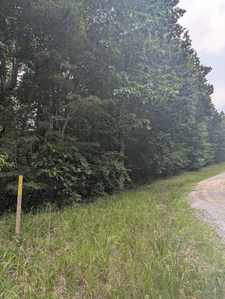 0 Scenic Pl, Monterey, TN 38574