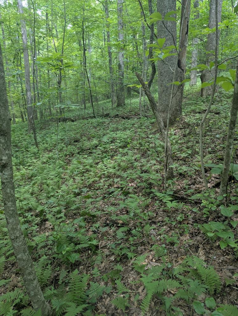 0 Scenic Pl, Monterey, TN 38574