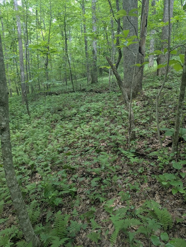 0 Scenic Pl, Monterey, TN 38574