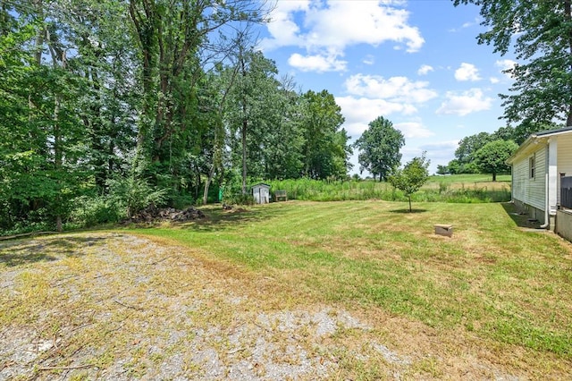 8188 Short Mountain Highway, Smithville, TN 37166 - photo 28