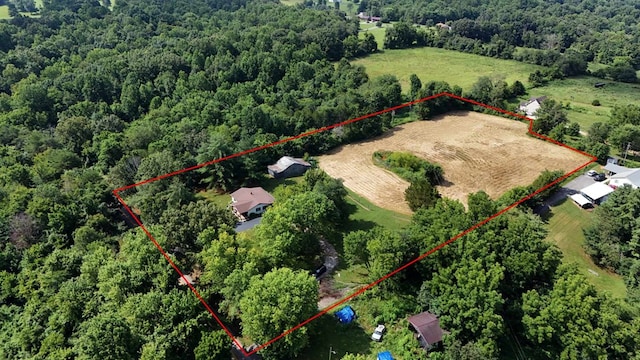2106 Seventy Six Falls Rd, Albany, KY 42602 - photo 13