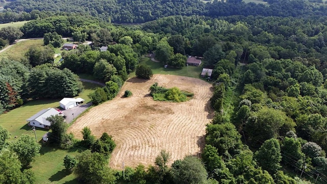2106 Seventy Six Falls Rd, Albany, KY 42602 - photo 17