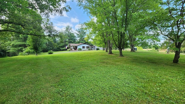 2106 Seventy Six Falls Rd, Albany, KY 42602 - photo 10