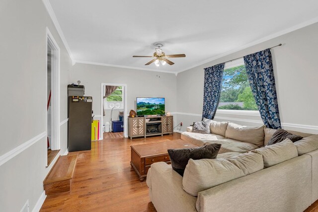 3071 Bayshore Dr, Cookeville, TN 38506 - photo 6