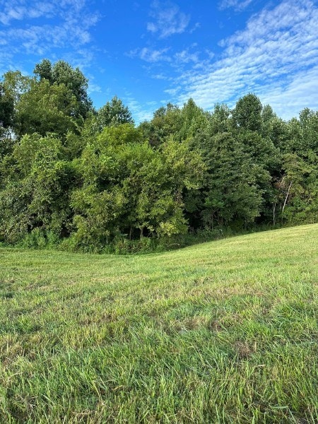 0 Knob Creek Rd, Wartrace, TN 37183 - photo 3