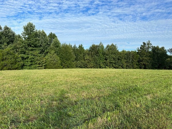 0 Knob Creek Rd, Wartrace, TN 37183 - photo 9